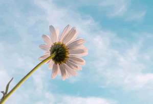 Crypto Staking's 'Passive Income' Dream: The real returns, the risks, and why you're probably getting played.