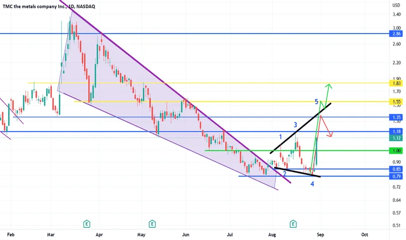 TMC Stock: its recent price movements and latest news – What Reddit is Saying